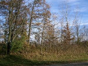 Lot 11 Ramm Woods Dr, Maple Park, IL 60151