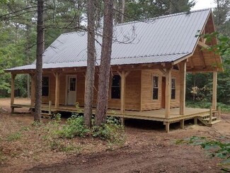 52 N Mt Tom Rd, Mio, MI 48647