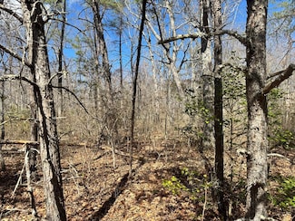 0 Divide Trail Unit 234859, Monterey, TN 38574