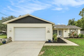 13242 Pendleton St, Spring Hill, FL 34609