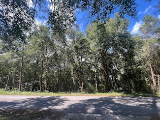 14 Marion Dr, Defuniak Springs, FL 32433