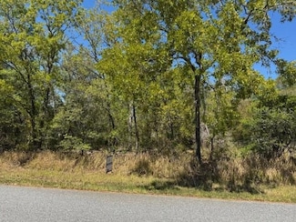 25 Elm Loop, Silver Springs Shores, FL 34472