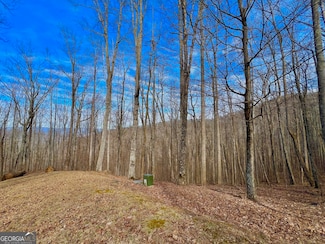 57 Rim Rock, Young Harris, GA 30582