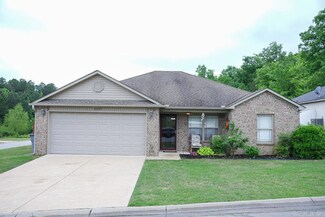 8009 Shadow Valley Cove, Alexander, AR 72002