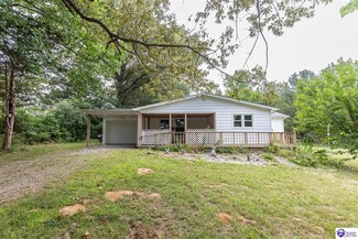 196 Browns Ln, Vine Grove, KY 40175