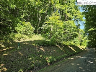 Lot 62 White Tail Trail, West Jefferson, NC 28694