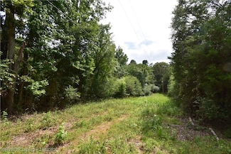 TBD Wildcat Mountain Rd, Magazine, AR 72943