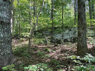 0 Trillium Heights Terrace Unit 38, Hayesville, NC 28904