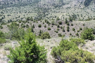 TBD Red Wing Lode Ms 3180 & Elgin Lode Ms 3181, Radersburg, MT 59641