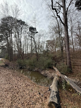 01 N Jordan St, Carthage, MS 39051