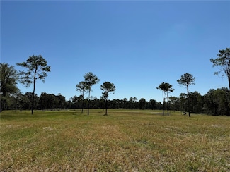 DR #8 (10ac) NW 193rd St, Micanopy, FL 32667