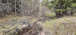 13 Garnet Range Tract, Drummond, MT 59832