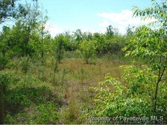 00 Nc 55 Hwy E, Dunn, NC 28334