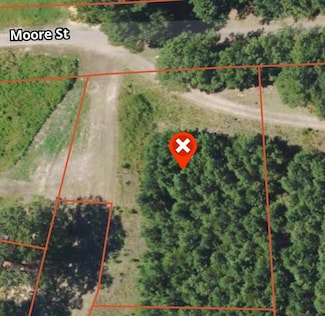 1004 Moore St, Beauregard, MS 39191