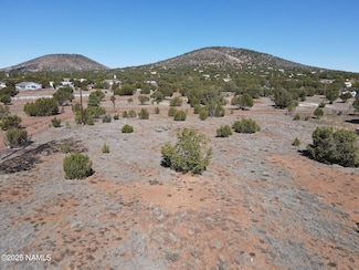 1634 E Prospect Ln, Williams, AZ 86046