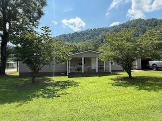 412 Clear Fork Rd, Lynco, WV 24857