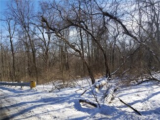 Parcel 2 Rushwood Rd, Loyalhanna, PA 15670