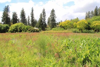 NHN S Rimrock Dr, Spokane, WA 99224