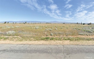 18900 Lancaster Rd, Del Sur, CA 93536