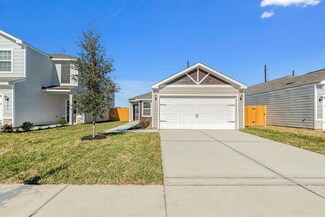 10410 Sunny Petal Cir, Houston, TX 77016