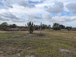4830 Holopaw St, Lake Wales, FL 33859