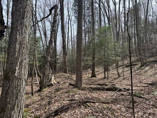0 Peck Hill Rd Unit LotWP001 22398851, New Milford, PA 18834