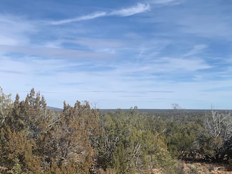 3972 Sunset Ridge Loop, Happy Jack, AZ 86024