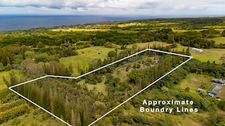 29-3836 Kanna Rd, Hakalau, HI 96710