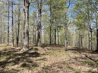 0 Waynoe Rd, Ashland City, TN 37015