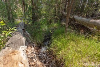 7922 Cozart Ln, Poncha Springs, CO 81201