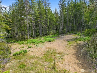 905 NE Tahuya Blacksmith Rd, Tahuya, WA 98588