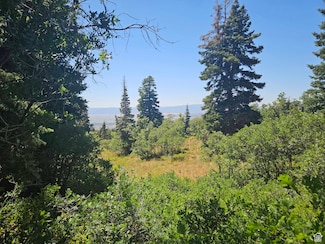 1002 E North Fork Rd S Unit 1002, Fairview, UT 84629