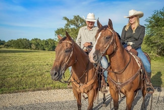 3 Round Top Farms Dr, Round Top, TX 78954