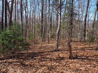 TBD Carrollview Rd, Fancy Gap, VA 24328