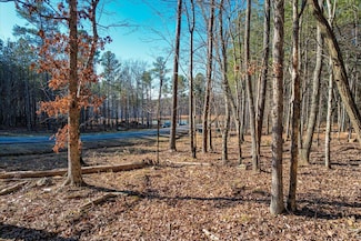 0 Raulston Falls Rd Unit 1349278, Jasper, TN 37347