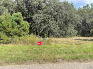 TBD Lot 13 Cr 2204 D & Fm 1797, Tatum, TX 75691