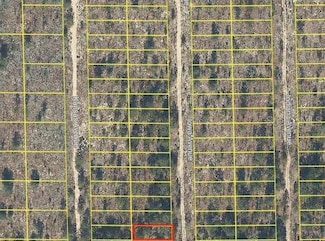 0 Iowa Ave Unit MFRO6277674, Hawthorne, FL 32640