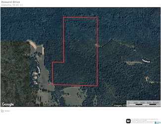 0 Howard Dr Unit 21436545, Fayette, AL 35555