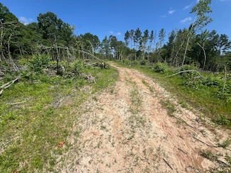 900 Harmony Rd, Duck Hill, MS 38925