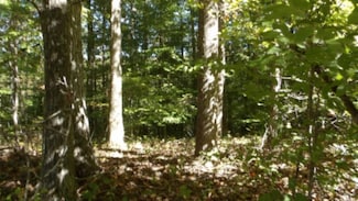 0 Inland Ct Unit RTC2753013, Sparta, TN 38583