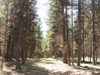 197 Little Thompson River Rd, Plains, MT 59859