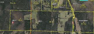 000 Stallion Bluff Rd, Shell Knob, MO 65747