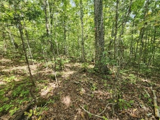 16.22ac Glenobey Rd, Jamestown, TN 38556