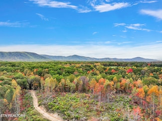 0 Davis Rd Unit 1311166, Sunbright, TN 37872