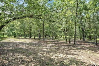 TBD (16 Acres) Vz County Road 1804, Grand Saline, TX 75140