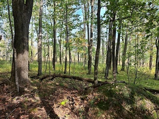 0 Meadow Ln, Nasewaupee, WI 54235