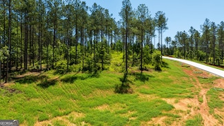 LOT 1 Farm Club Ct, Newnan, GA 30263