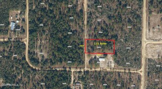 102 Matthew Place, Hawthorne, FL 32640
