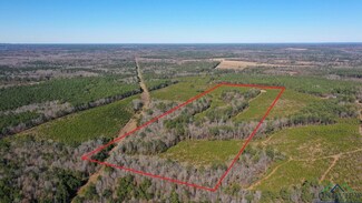 0002 County Road 1115 Unit Tract 2, Atlanta, TX 75551