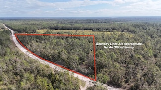 0 SE Trading Post Loop, Lee, FL 32059